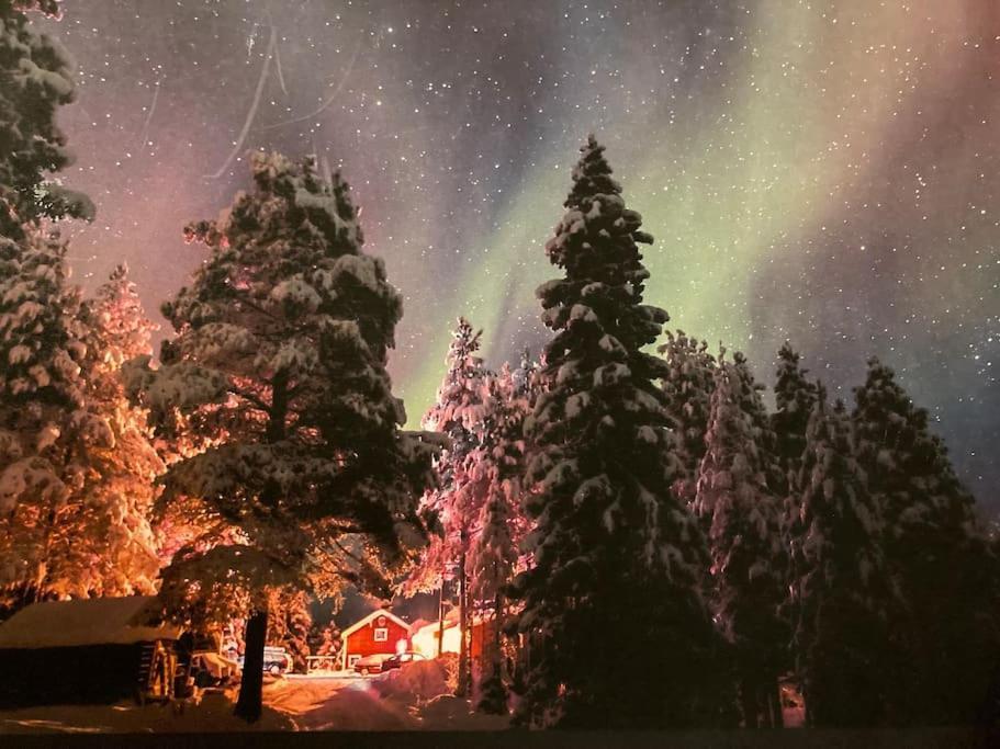 Lakeside Wilderness Cabin Jokkmokk Exterior photo